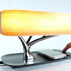AUDIO & LIGHTING